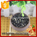 China Ningxia saco de papelão preto e preto goji berry